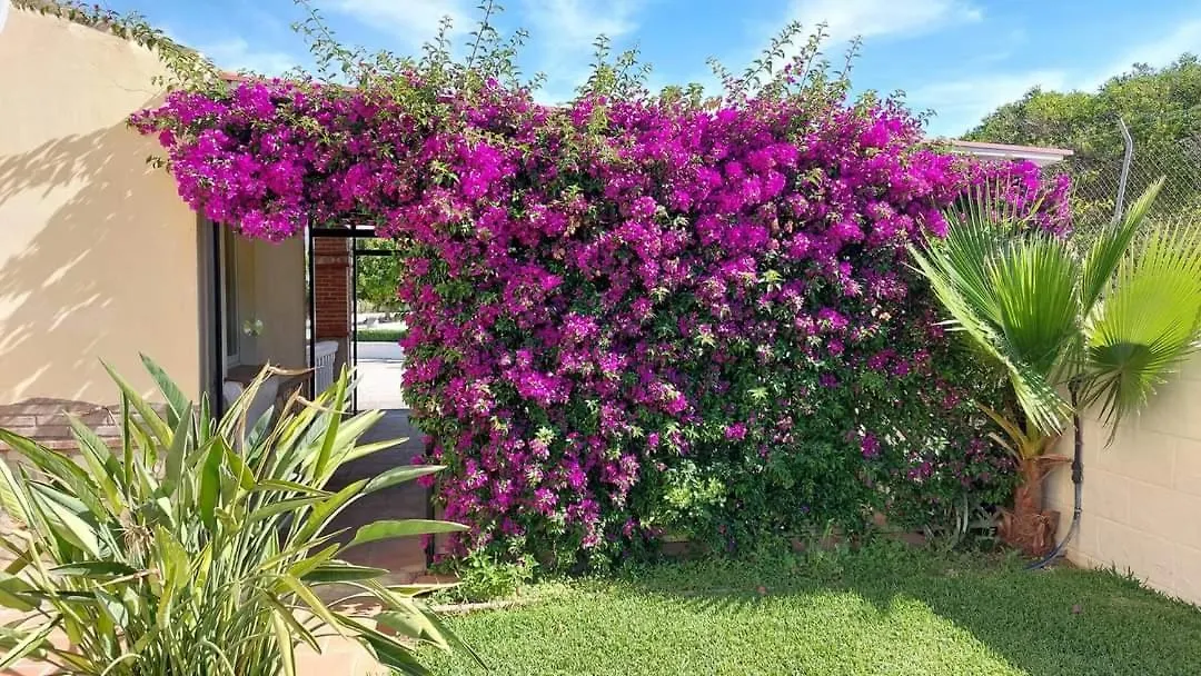 Alhaurín el Grande Casa Oliva Bed & Breakfast