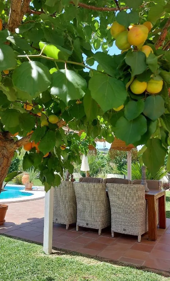 Alhaurín el Grande Casa Oliva Bed & Breakfast